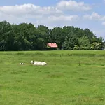 Bed & Breakfast Boekel 3* Boekel