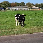 Bed and Breakfast Bed & Breakfast Boekel Boekel