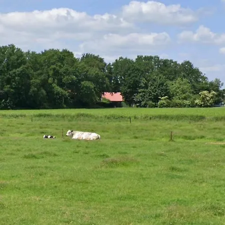 Bed & Breakfast Boekel 3* Boekel