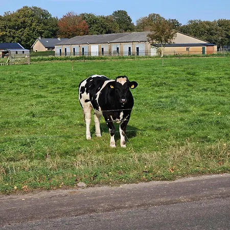 Alojamento de Acomodação e Pequeno-almoço Bed & Breakfast Boekel Boekel