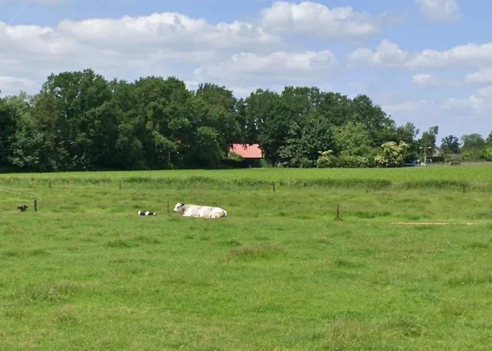 Bed & Breakfast Boekel 3* Boekel