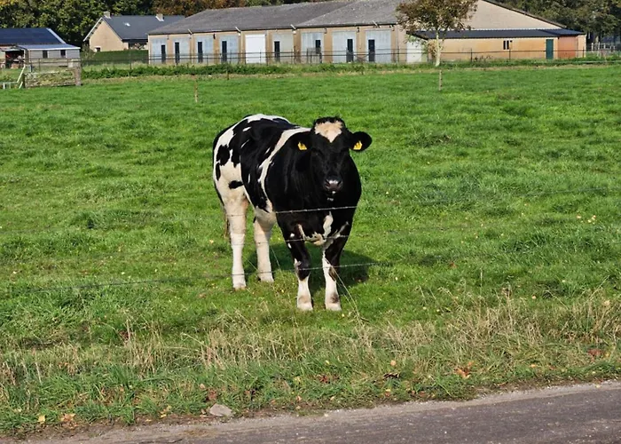 Bed and Breakfast Bed & Breakfast Boekel Boekel